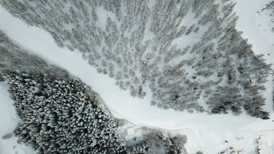 白树航空摄影